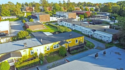 Bild av trädgården