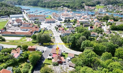 Bild av trädgården