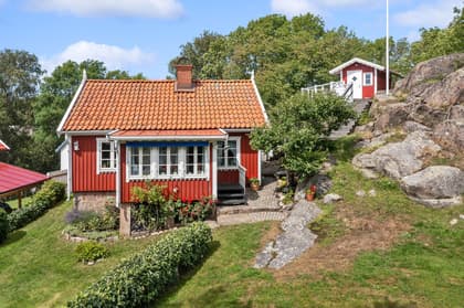 Bild av trädgården