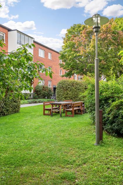 Bild av trädgården