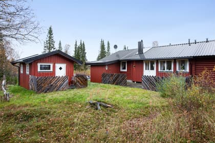 Bild av trädgården