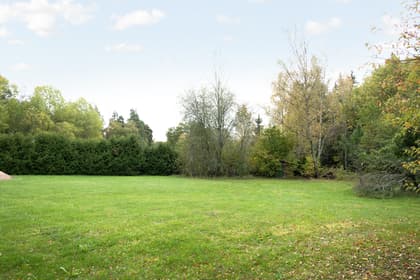 Bild av trädgården