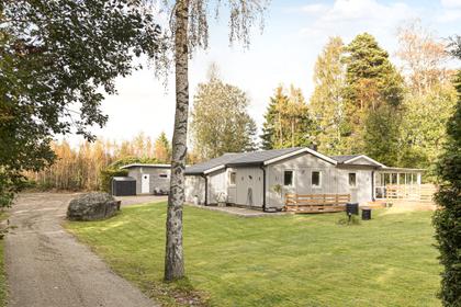 Bild av trädgården