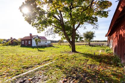 Bild av trädgården