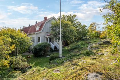 Bild av trädgården