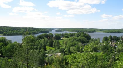 Rörsångarvägen 15, Vidja