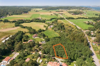 Bild av trädgården