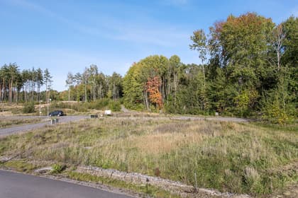 Bild av trädgården