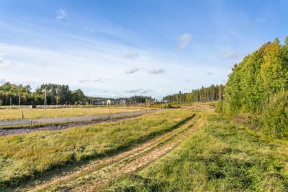 Bild av trädgården