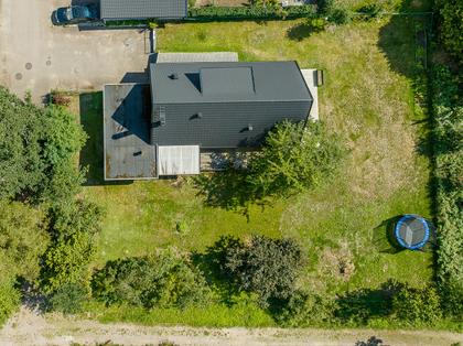 Bild av trädgården