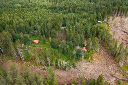 Bild av trädgården