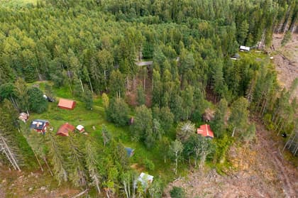 Bild av trädgården