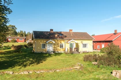 Bild av trädgården