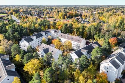 Bild av trädgården