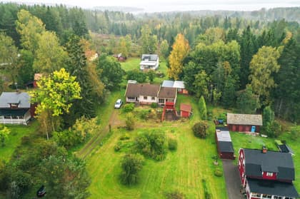 Bild av trädgården