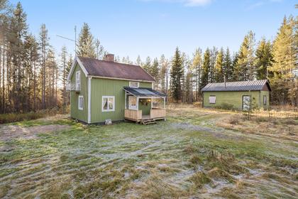 Bild av trädgården