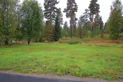 Bild av trädgården