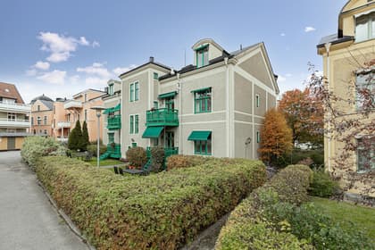 Bild av trädgården