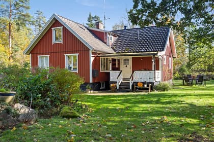 Bild av trädgården