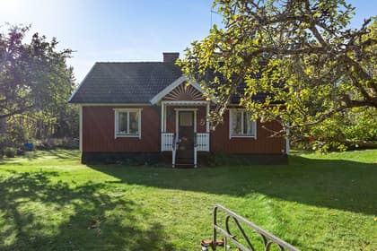 Bild av trädgården