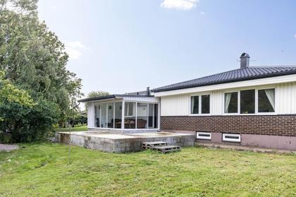 Bild av trädgården