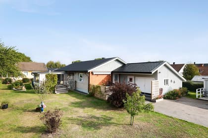 Bild av trädgården