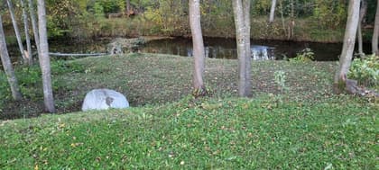 Bild av trädgården