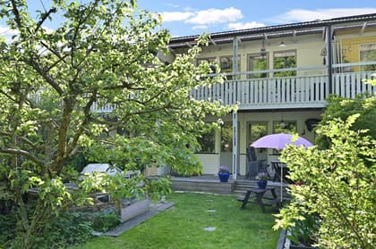 Bild av trädgården