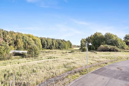 Bild av trädgården