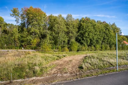 Bild av trädgården