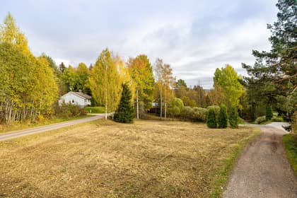 Bild av trädgården