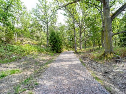 Bild av trädgården