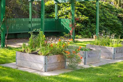 Bild av trädgården