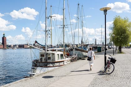 Bild av trädgården