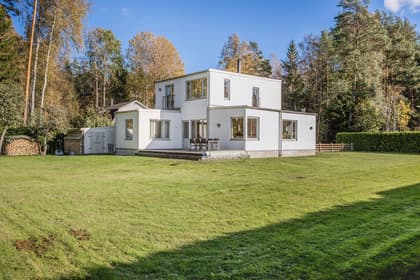 Bild av trädgården