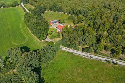 Bild av trädgården