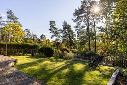 Bild av trädgården