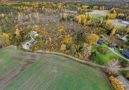 Bild av trädgården