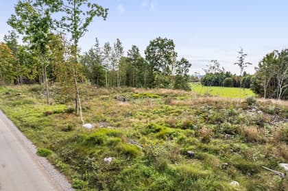 Bild av trädgården