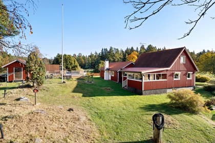 Bild av trädgården