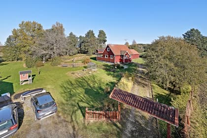 Bild av trädgården