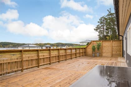 Bild av trädgården