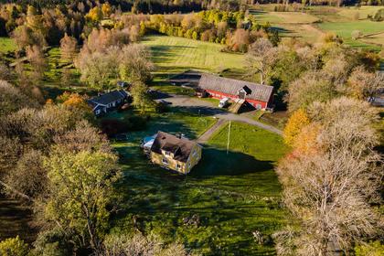 Bild av trädgården