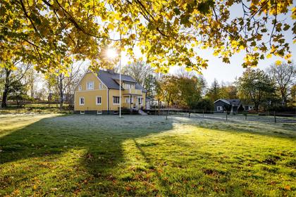 Bild av trädgården
