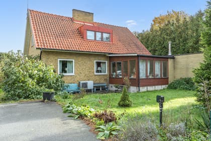 Bild av trädgården