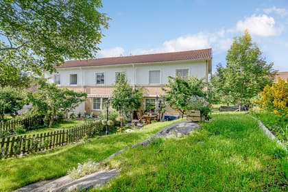 Bild av trädgården