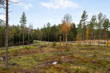 Sollarövägen 54, Sollarö