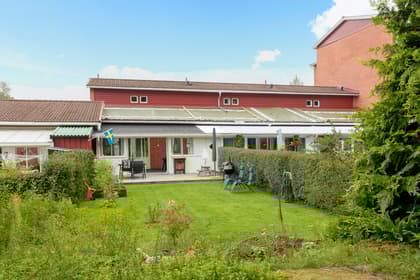 Bild av trädgården