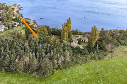 Bild av trädgården