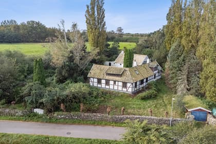 Bild av trädgården